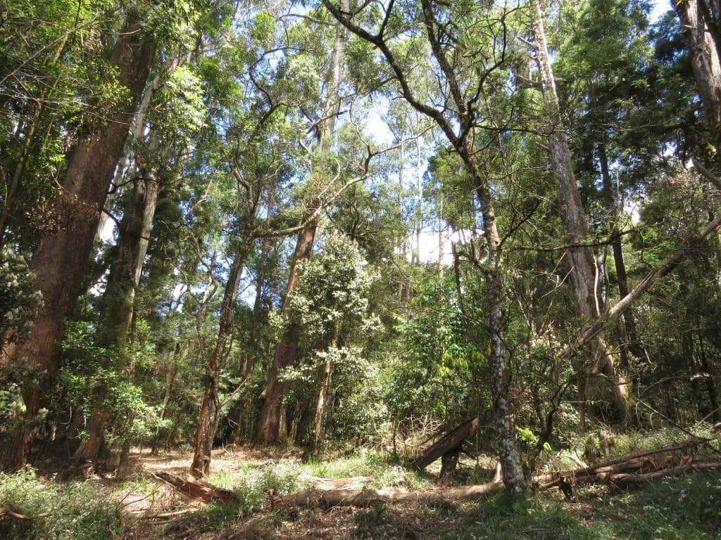 Biodiversity Hotspot