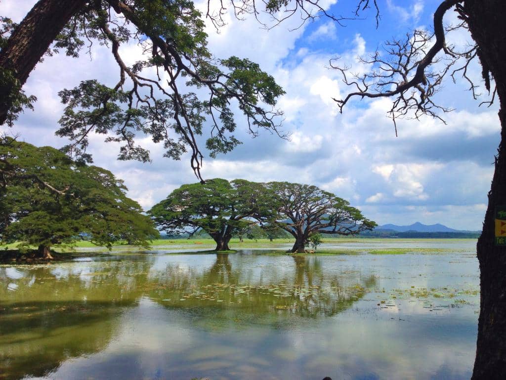 Tissa Wewa Boat Safari