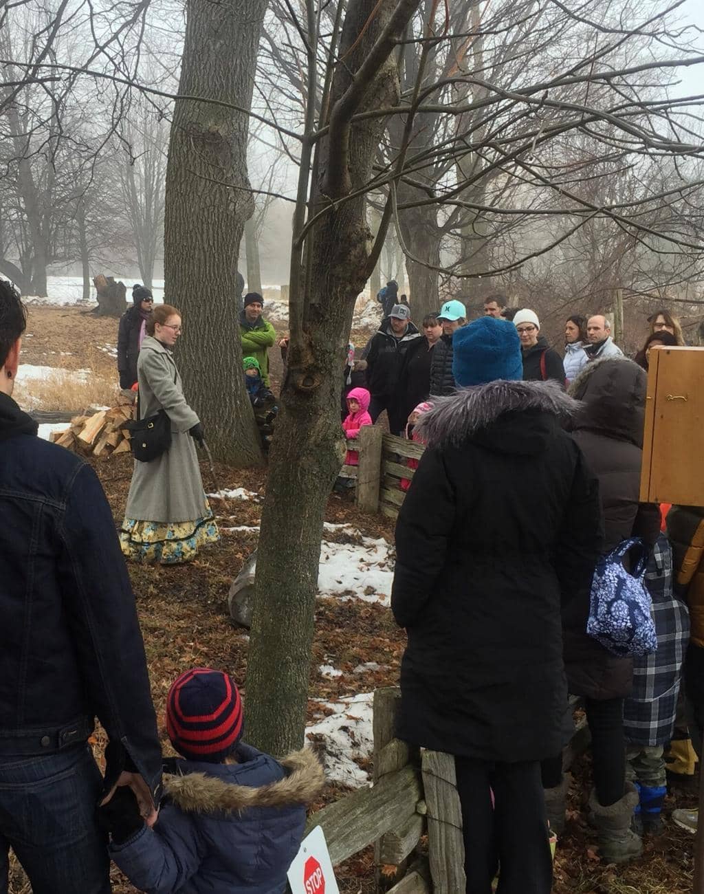 Children's Farm & Play Barn