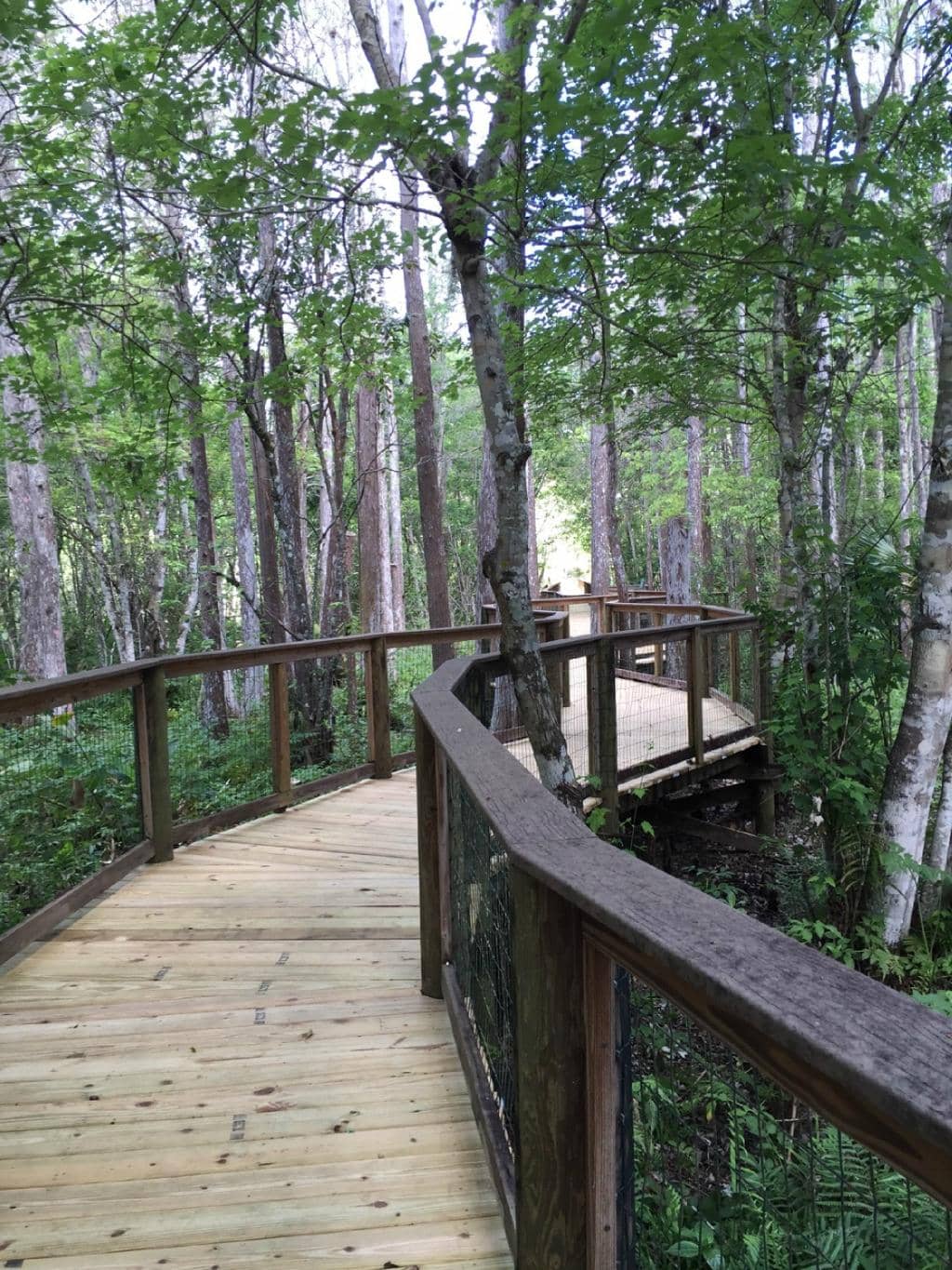 American Indigenous Arts Celebration