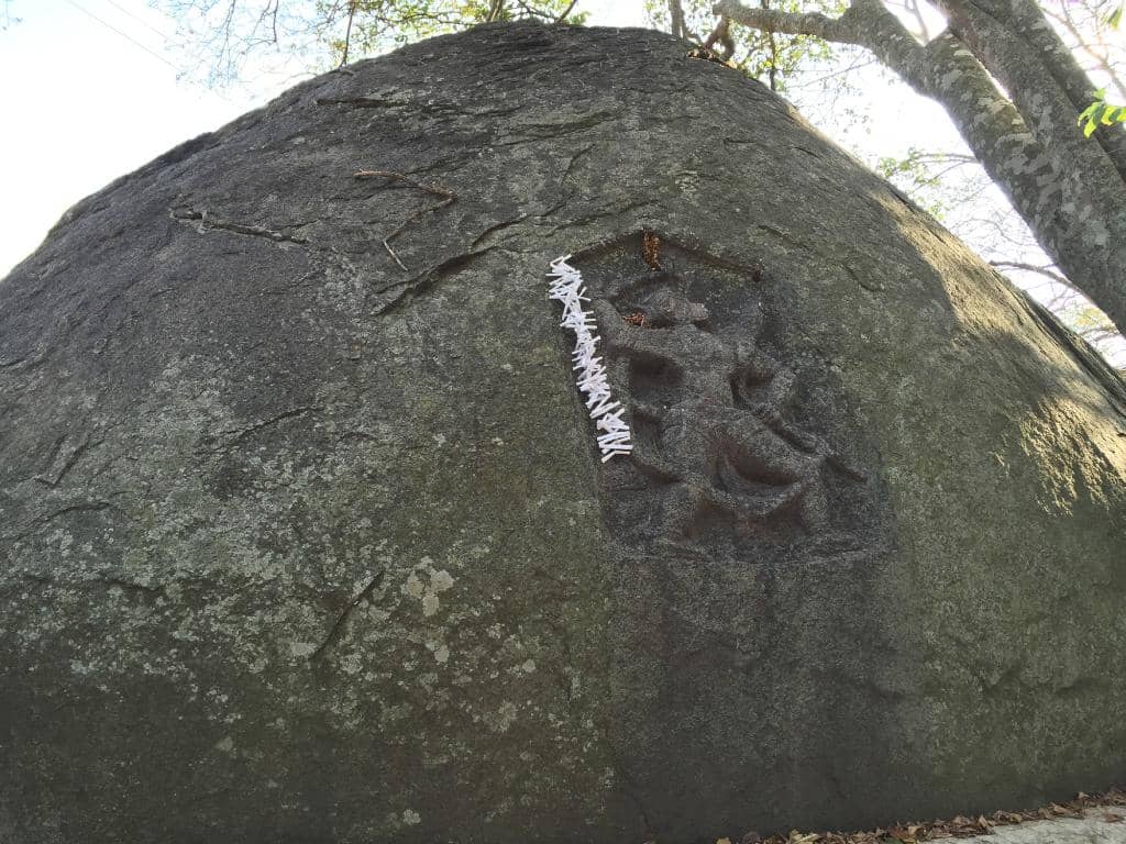 Scenic Trail & Misty Mornings