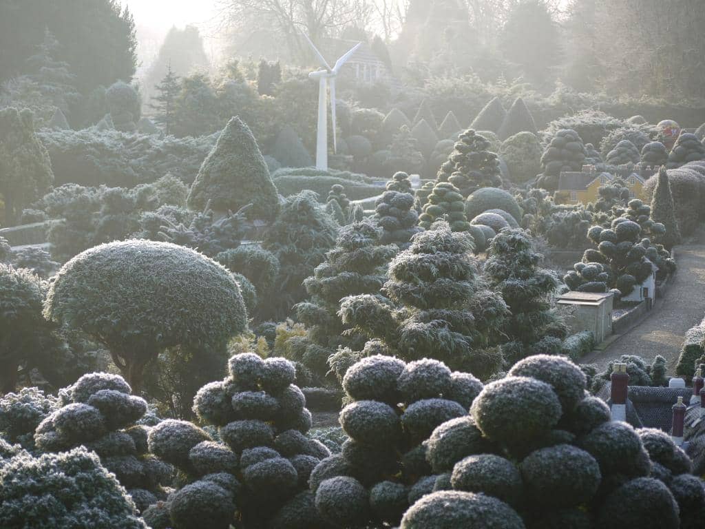 Garden Railway