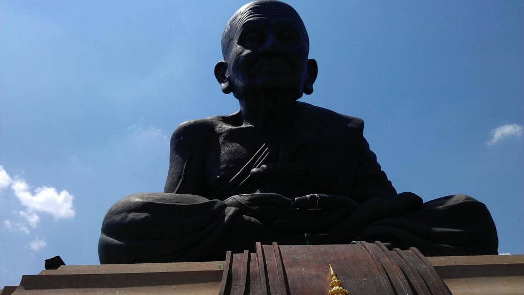 Peaceful Lake and Fish Feeding