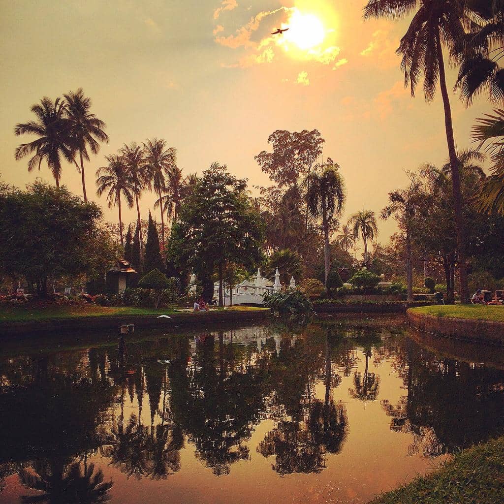 Vibrant Flower Displays