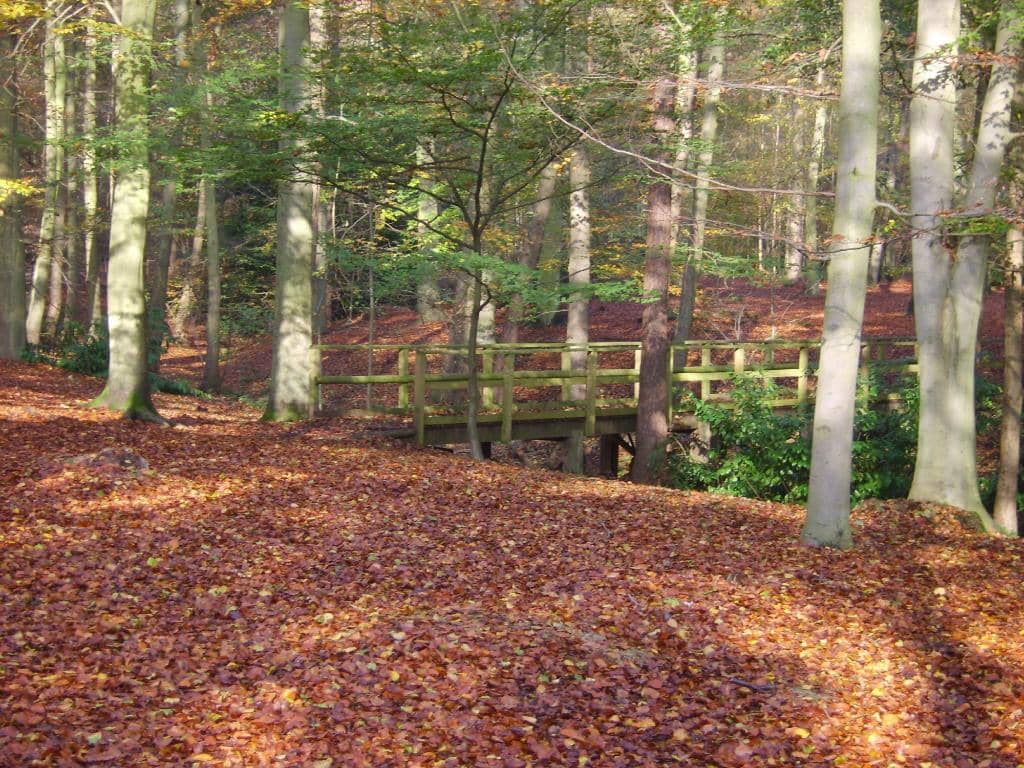 The Gruffalo Trail