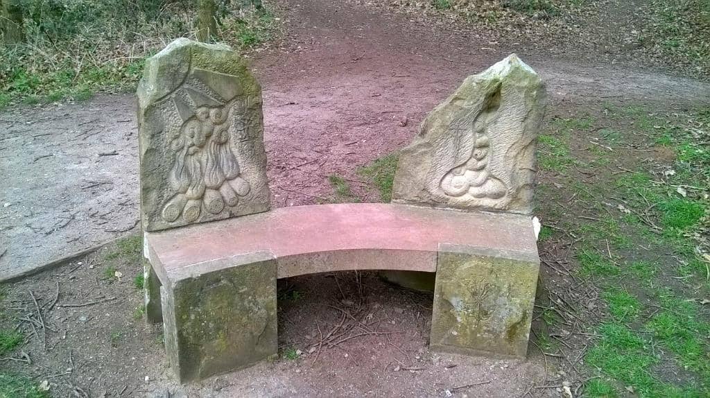 Pet-Friendly Welcome