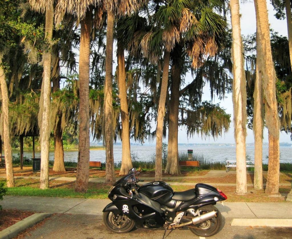 Dora Canal Scenic Beauty