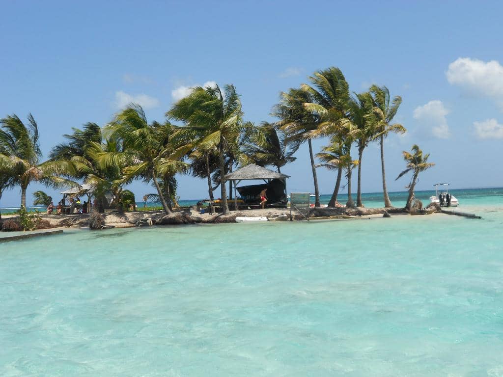 Island Vibes & Music