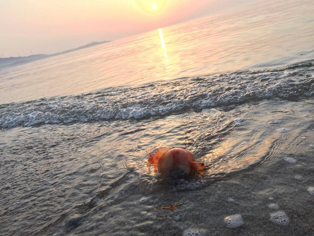 Unique Pebble Beach