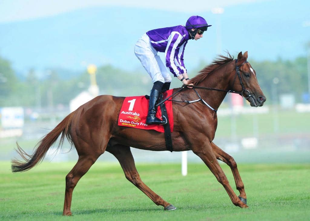 The Goffs Millions Day