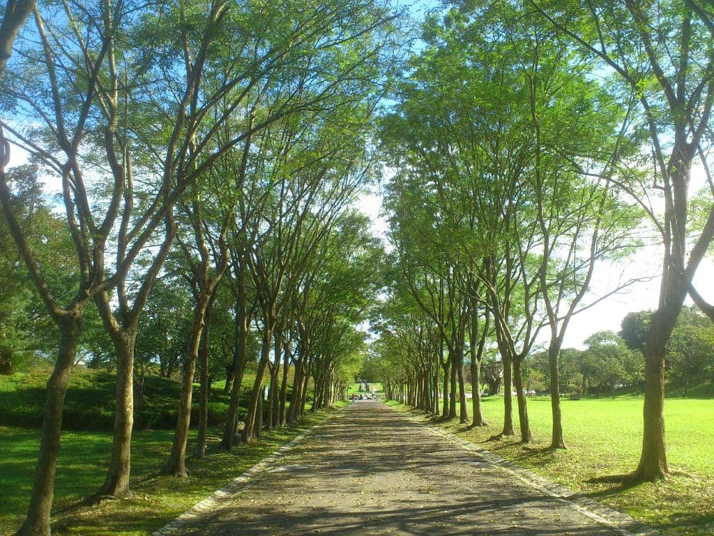 Serene Pond and Wildlife