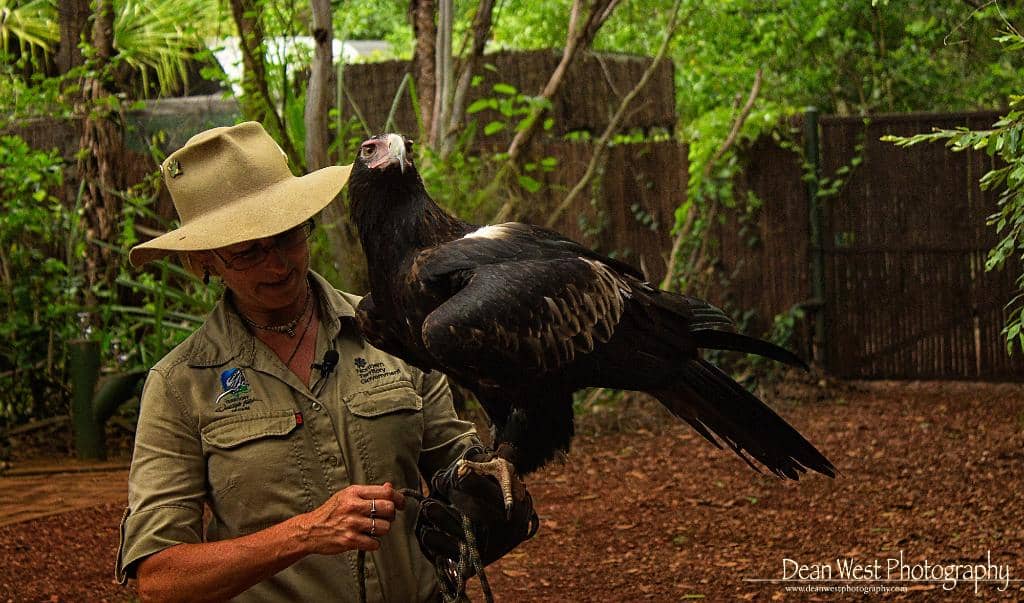 Walk-through Aquarium