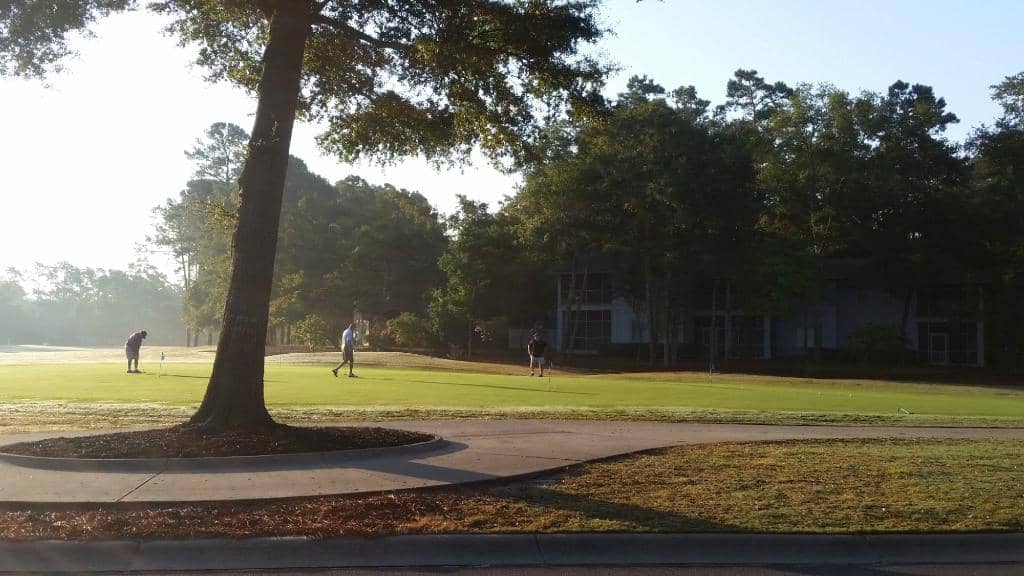 Immaculate Course Conditions