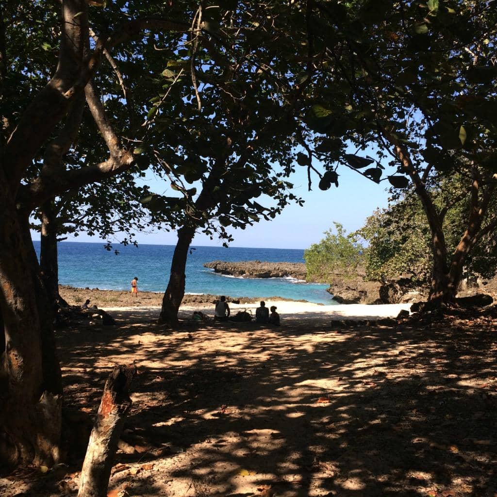 Mangrove Boat Trip