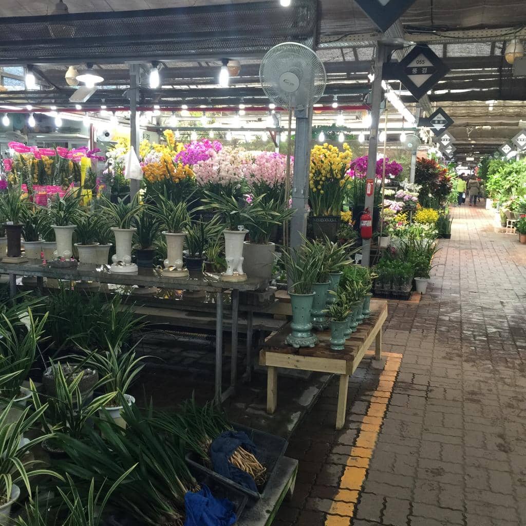 Vast Wholesale Flower Stalls