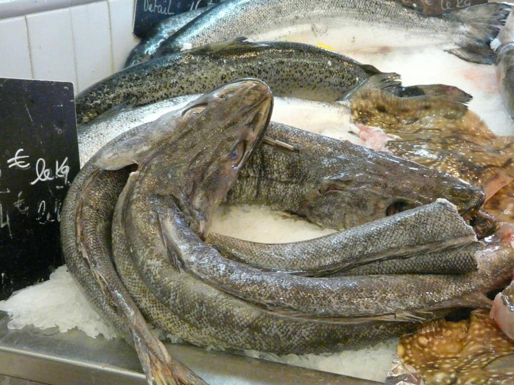 Local Culinary Delights