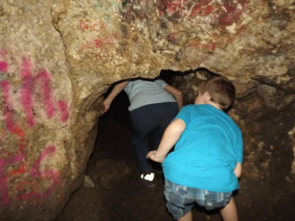 Wildlife Photography Opportunities