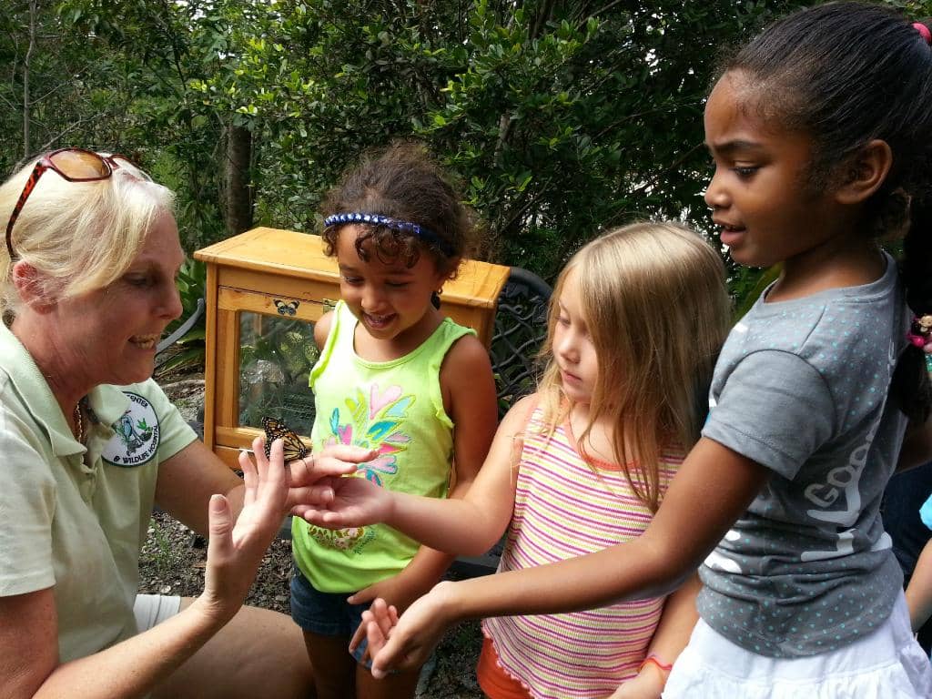 Wetlands Exploration