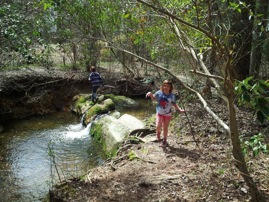 Lake Views & Wildlife