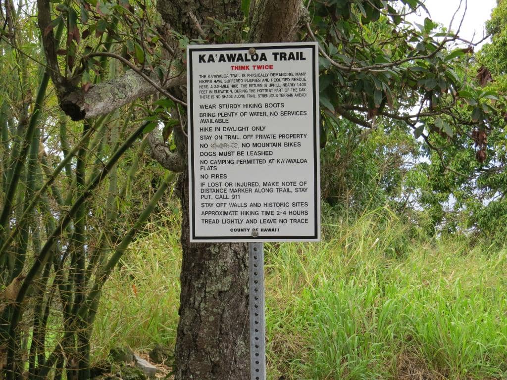 World-Class Snorkeling