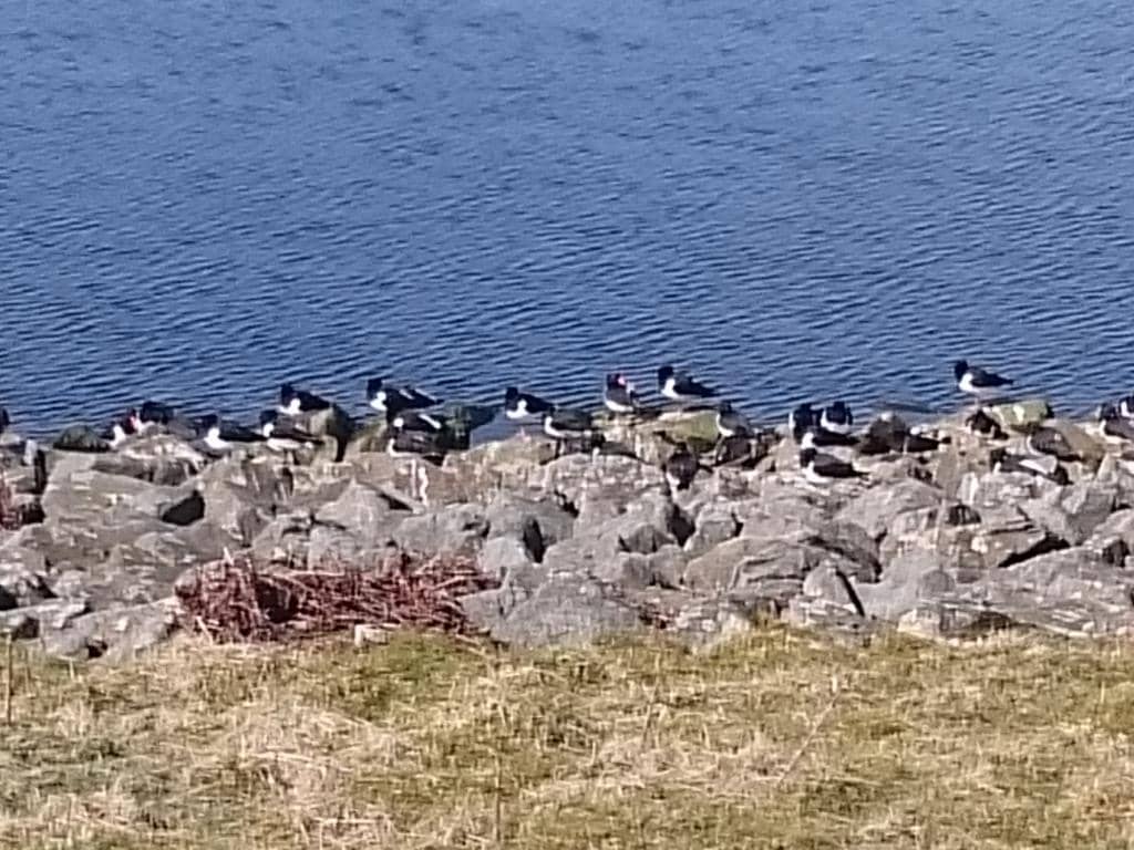 Grimwith Reservoir Circular Walk