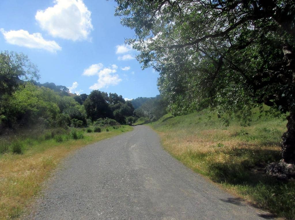 Scenic Hiking Trails