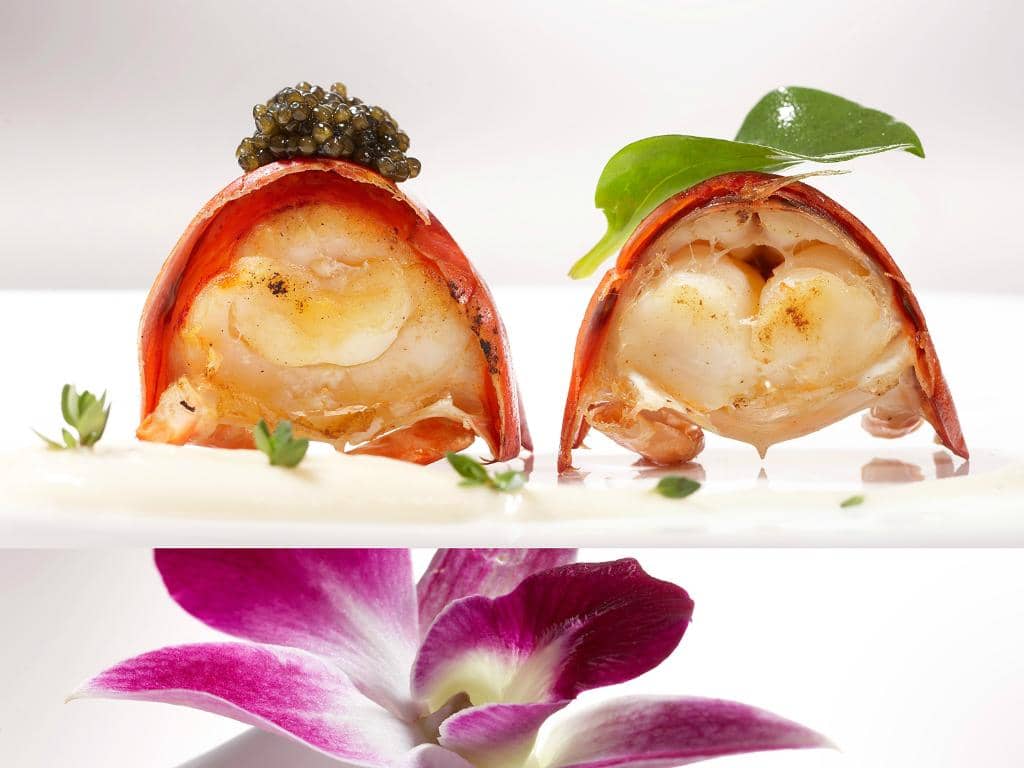 Innovative Culinary Creations