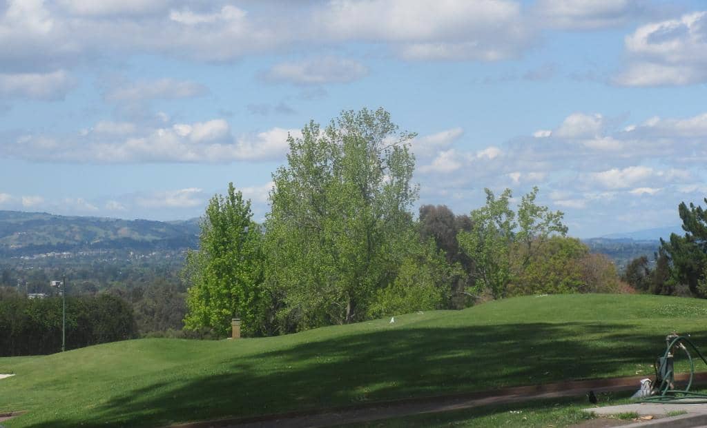 Hole 9's Elegant Challenge