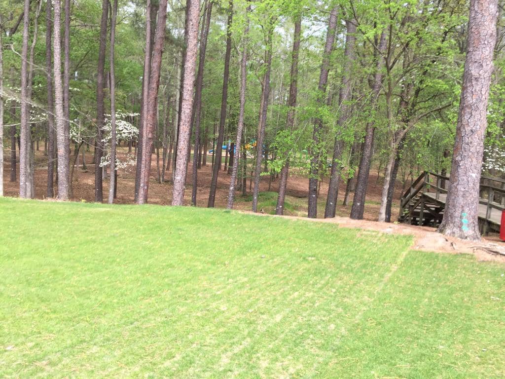 Disc Golf Course