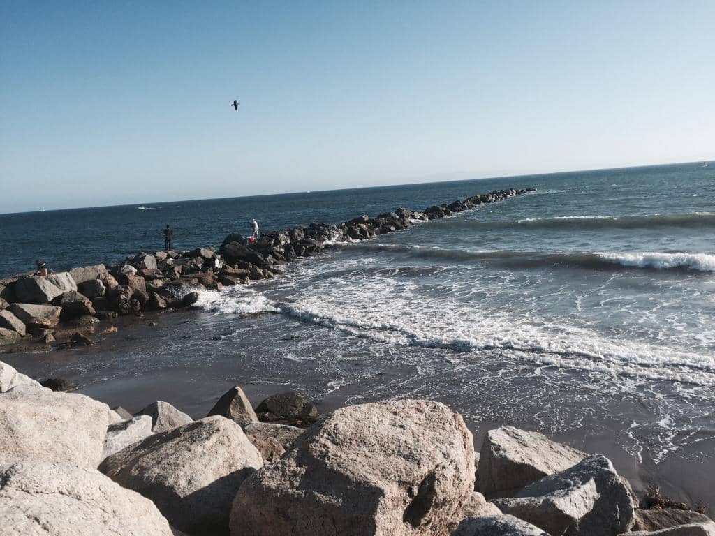 Cabrillo Marine Aquarium