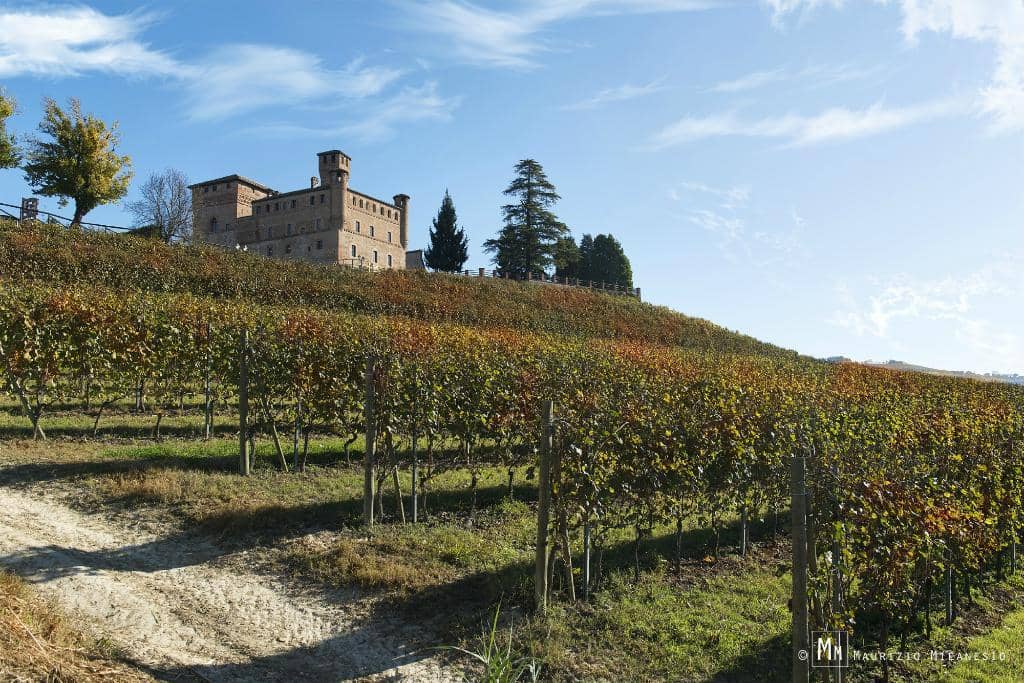 In Vigna (Open-Air Museum)