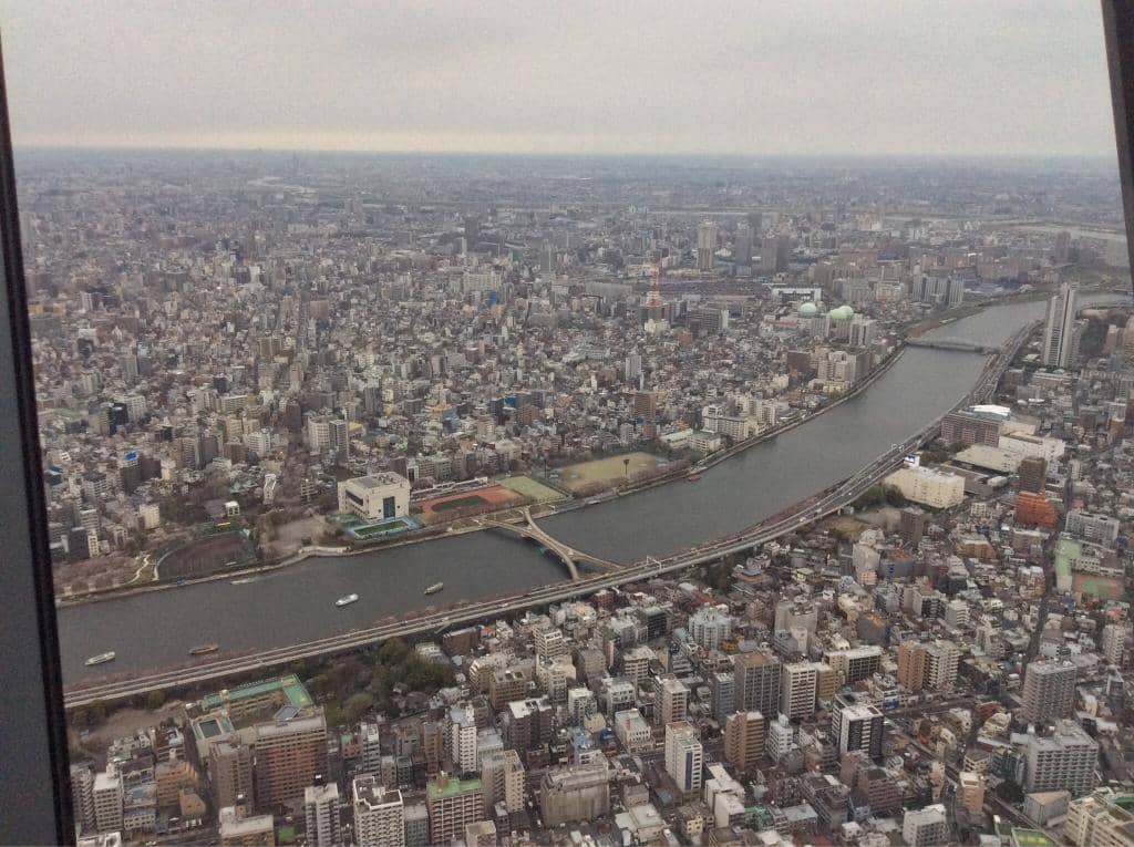 Donguri Republic (Ghibli Store)