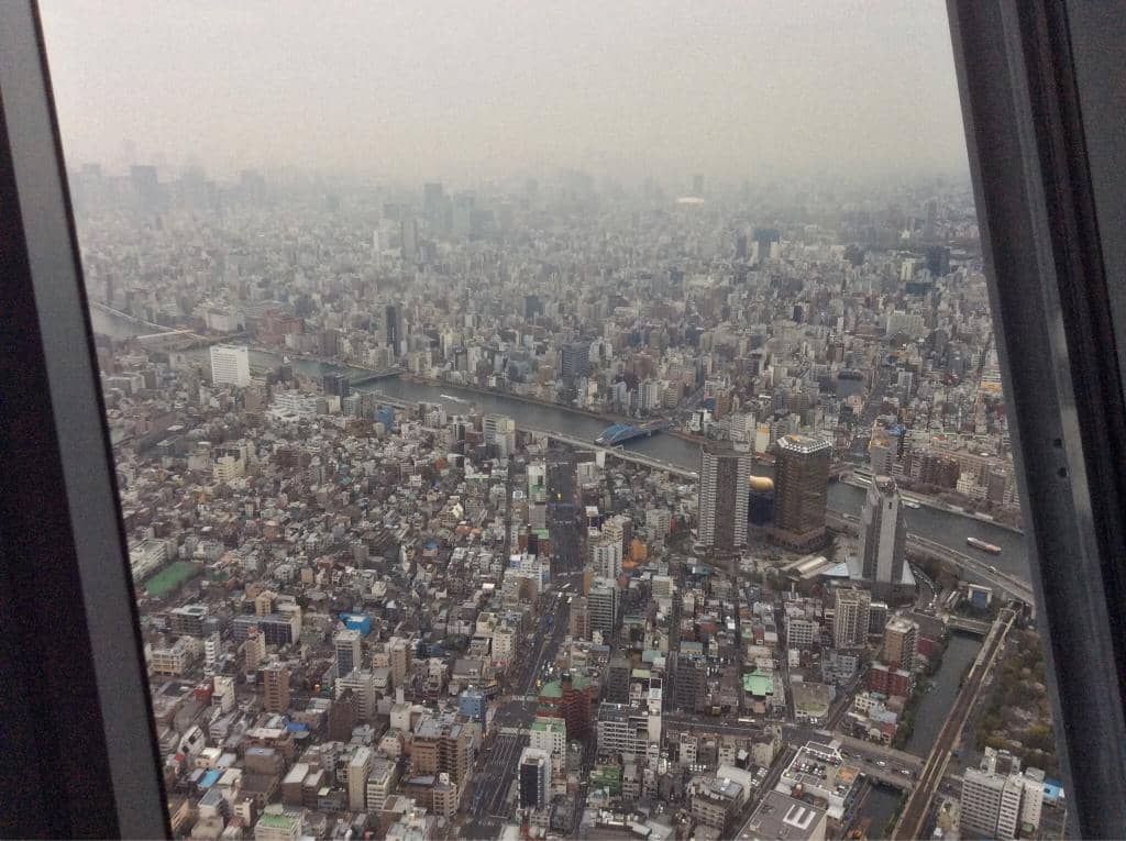Glass Floor Experience