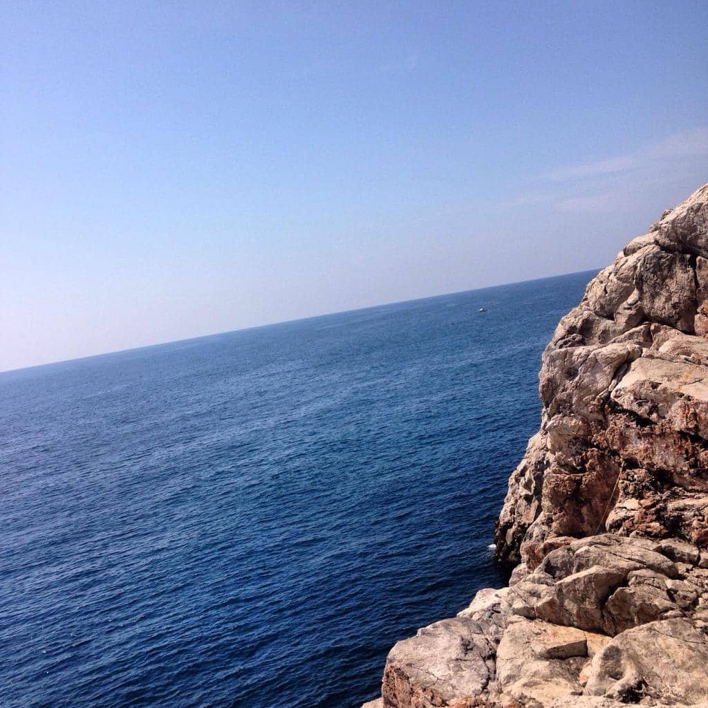 Vertical photo