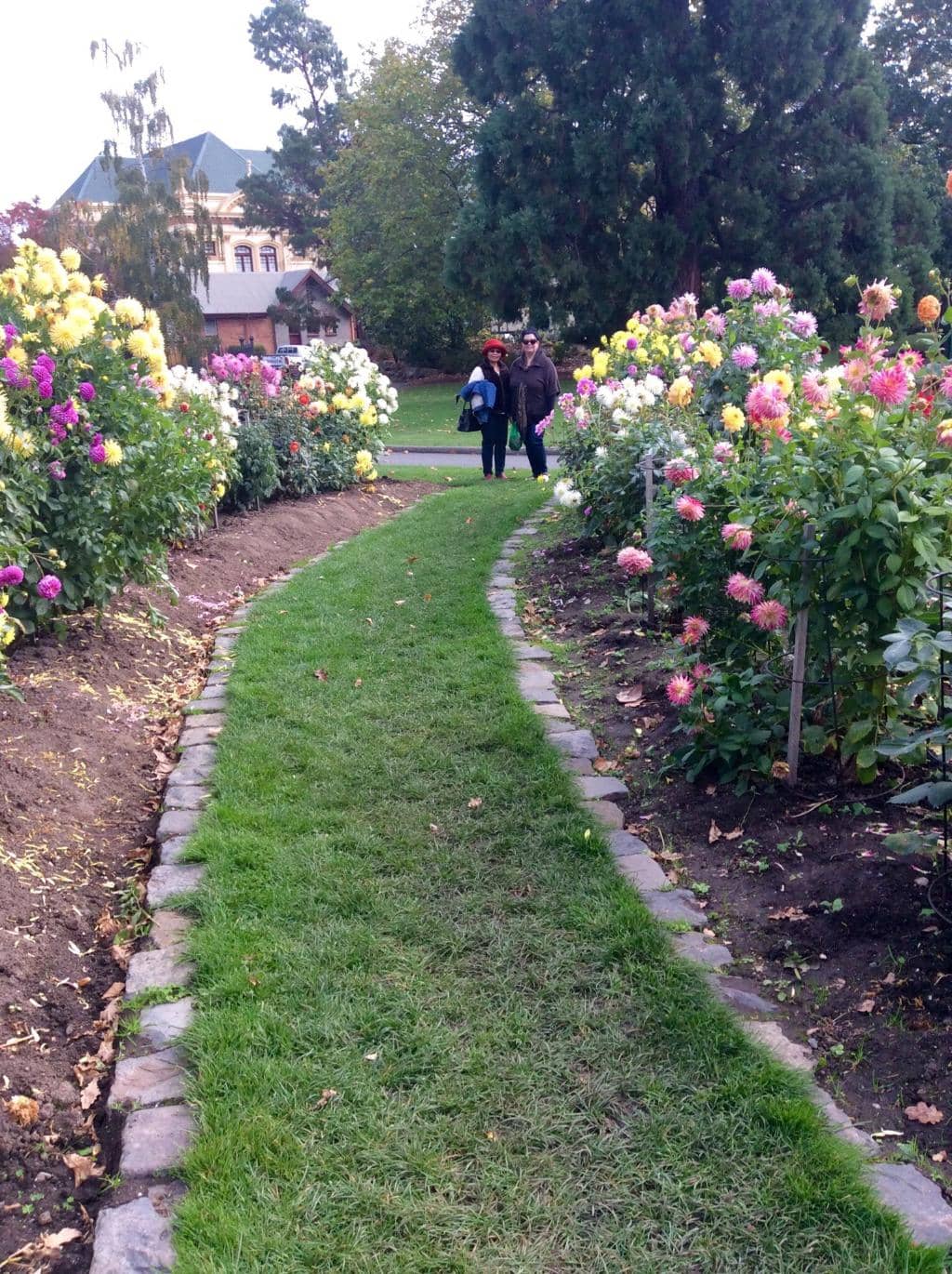 Manicured Lawns & Trees