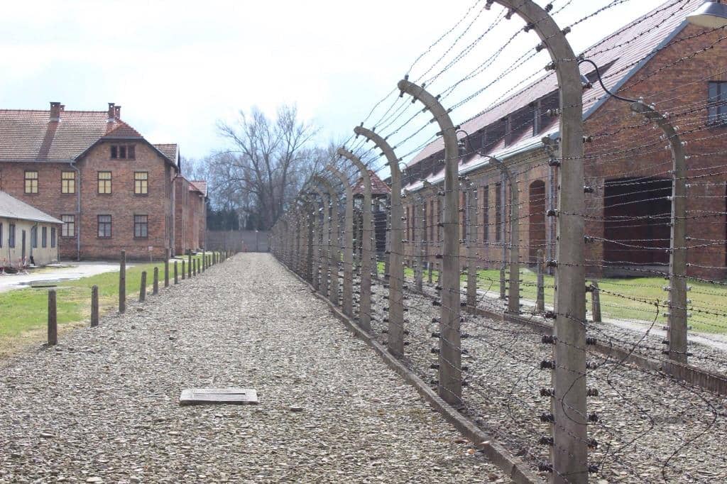 Exhibits of Personal Items