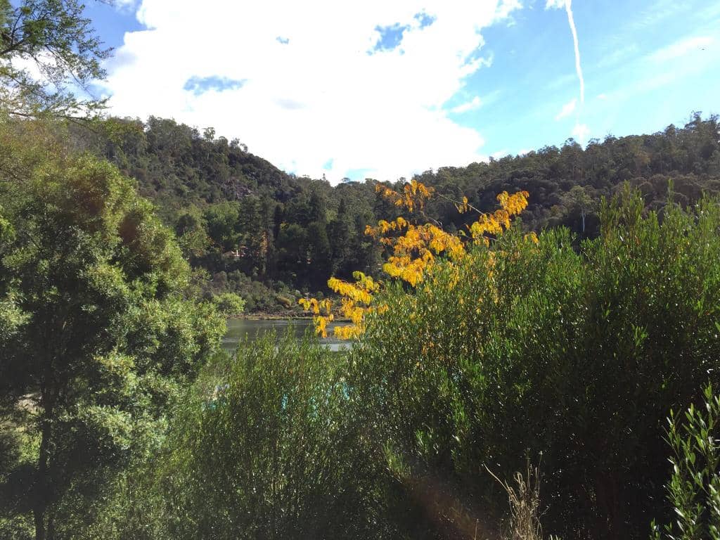Vertical photo