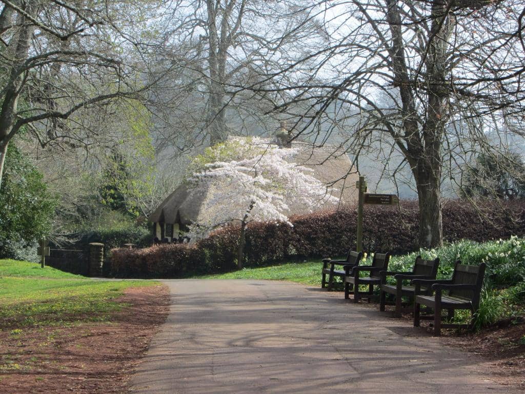 Ornamental Lakes