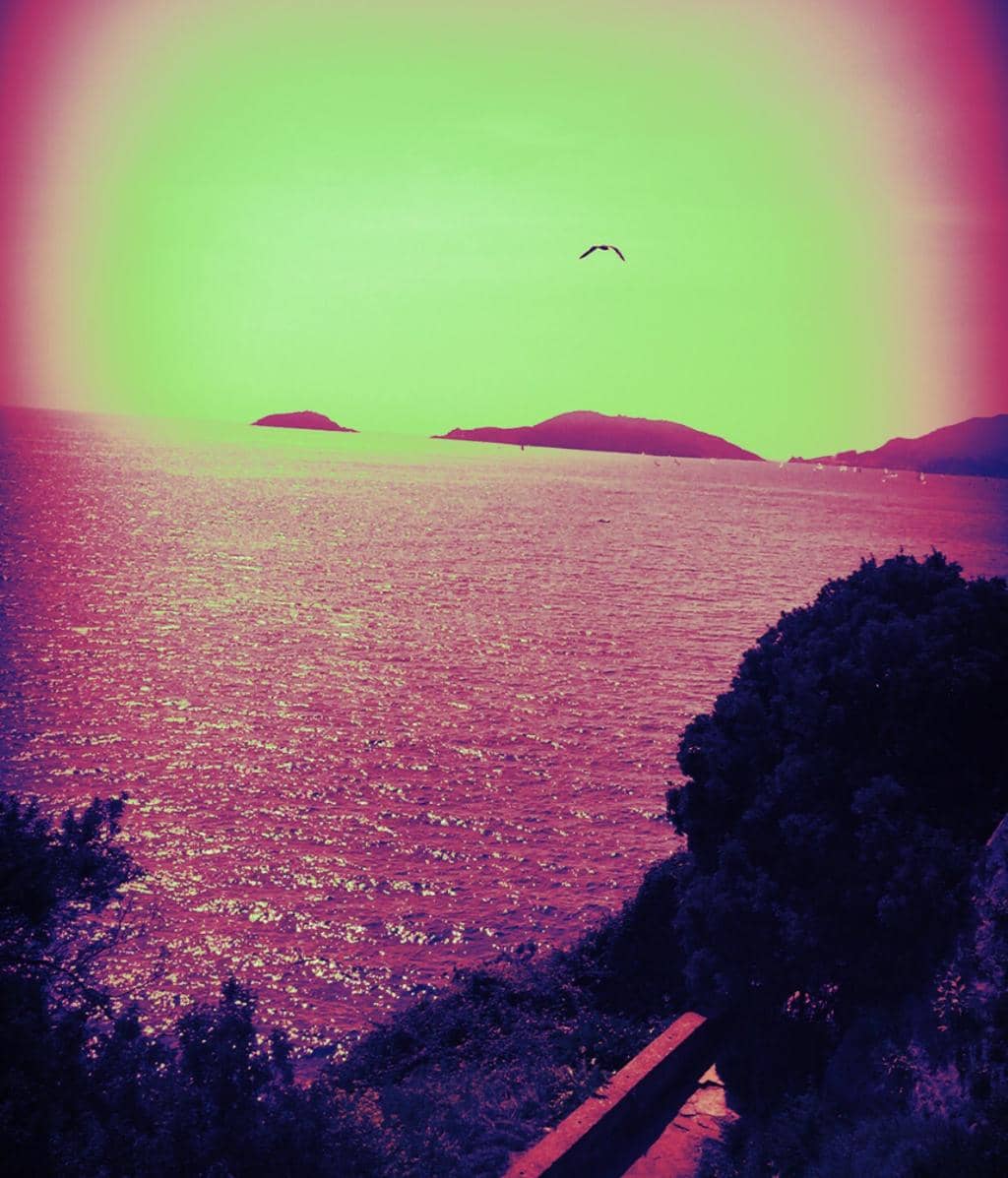 Vertical photo