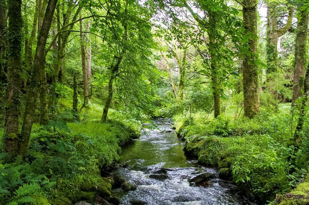The Waterfall Walk