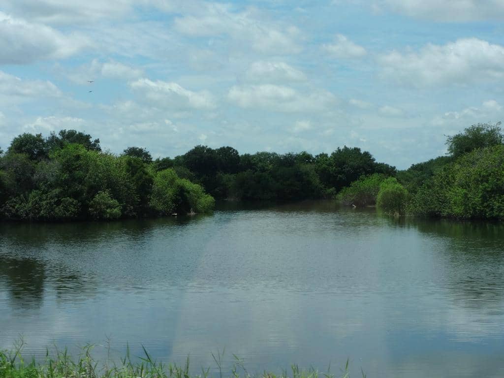 Scenic Hiking Trails