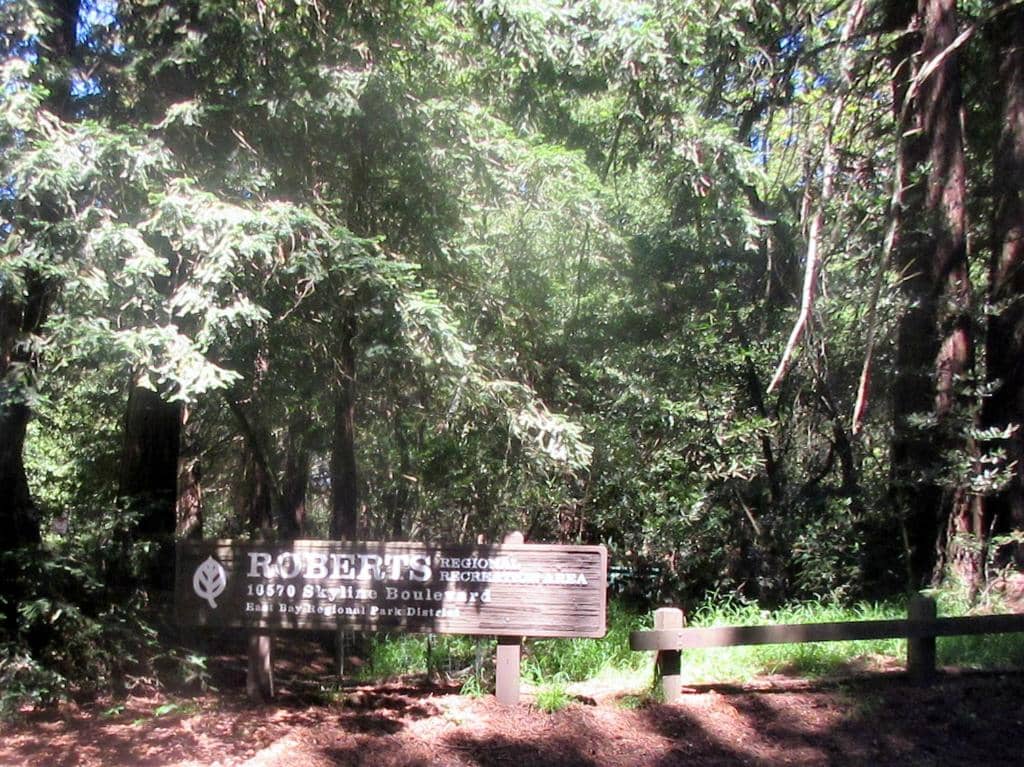 Newly Remodeled Roberts Pool