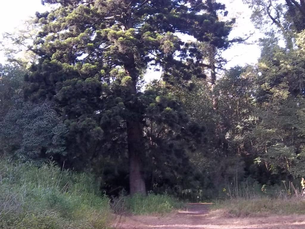 Cycling Adventures