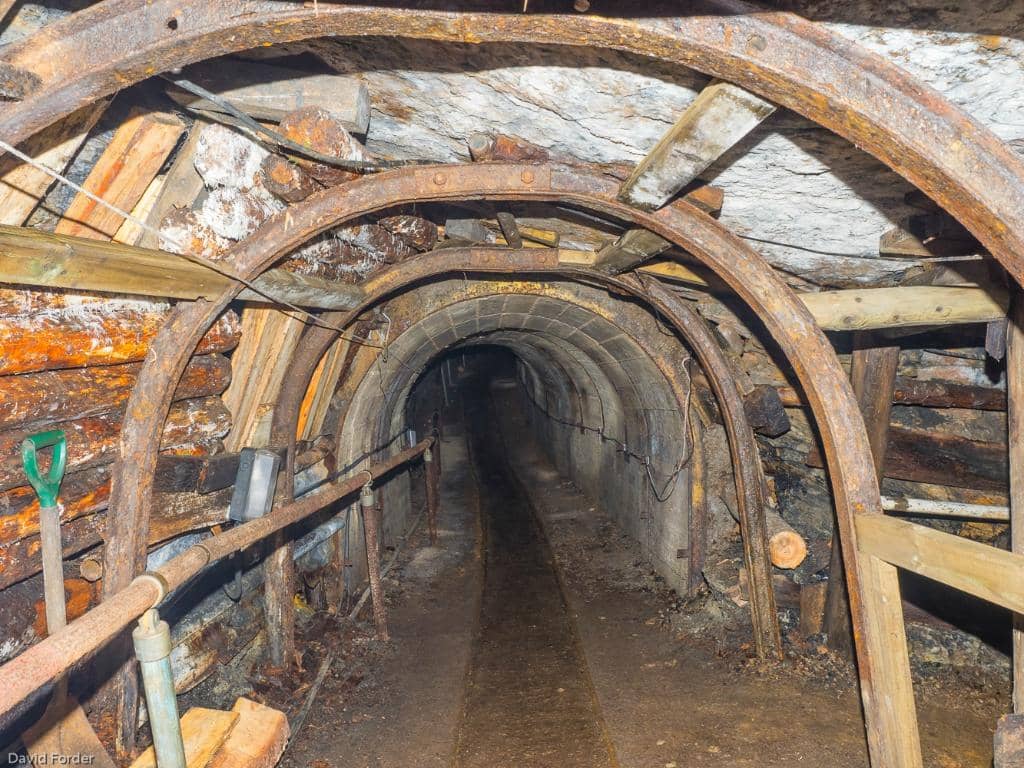 Free Miner History