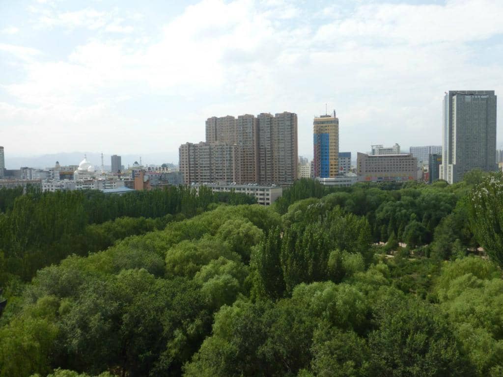 Wild Mountain Trails