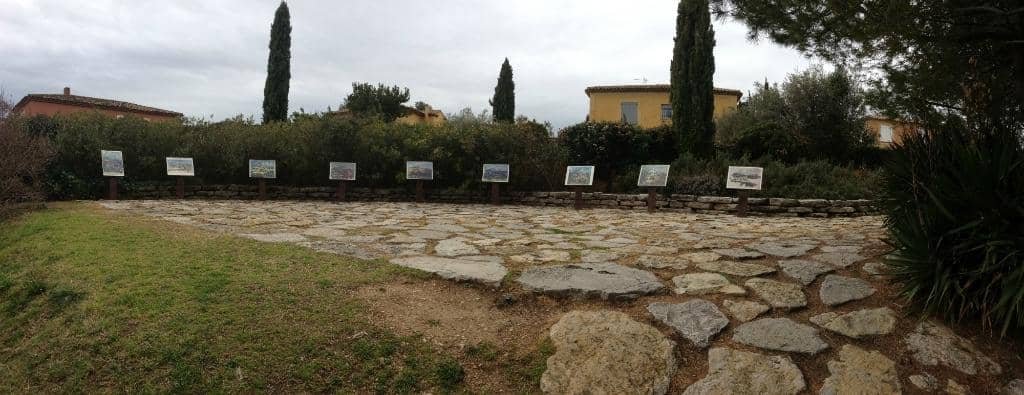 Cézanne's Viewpoint