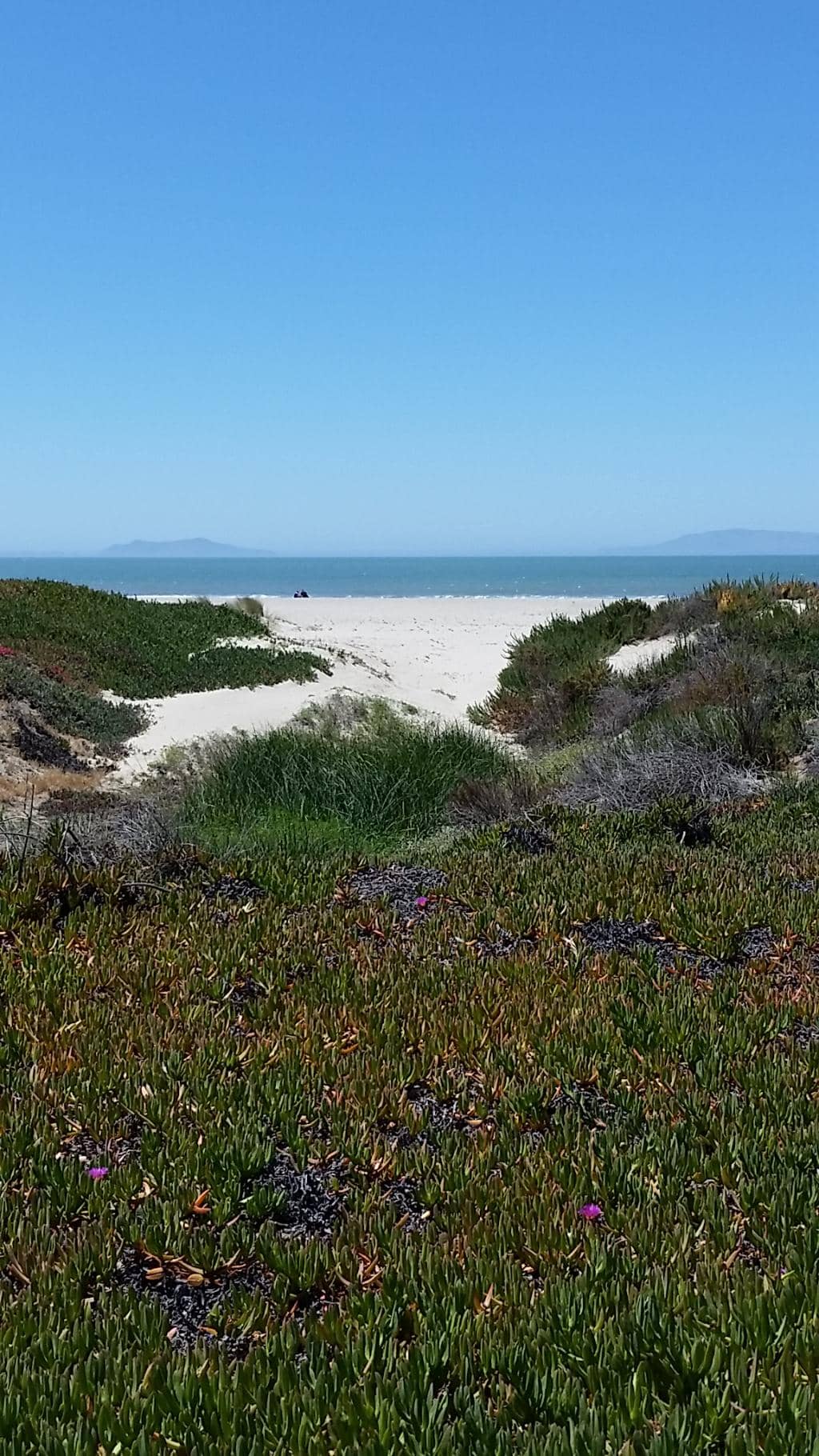 Quiet Beach Walks