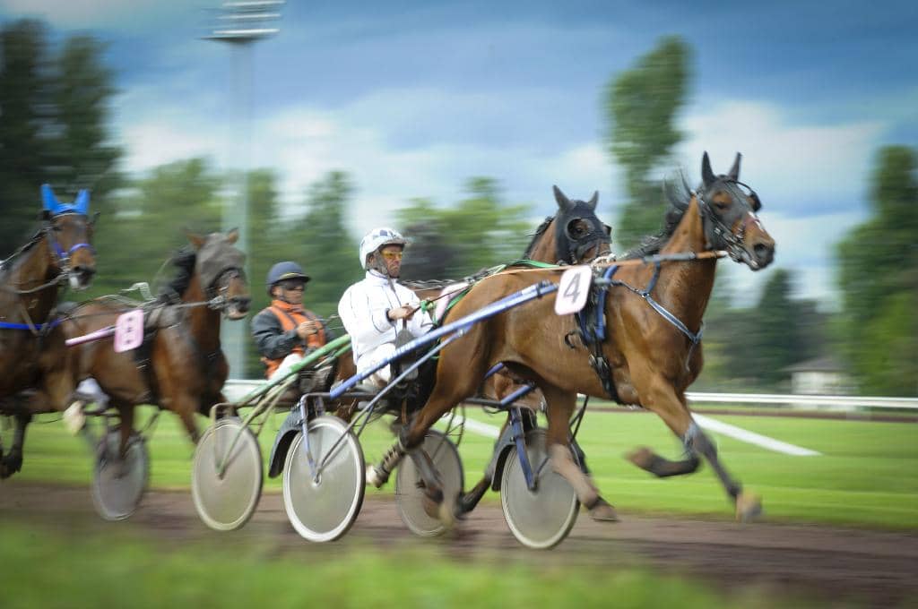 Spectacular Fireworks Displays