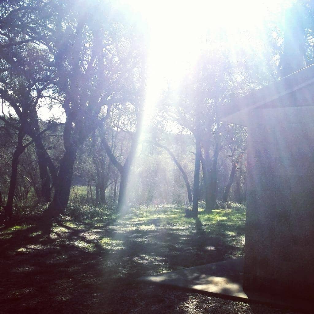 Bluebonnet Views (Seasonal)