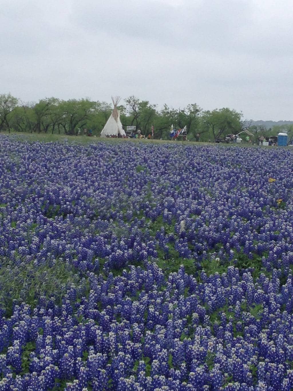 Fishing Opportunities